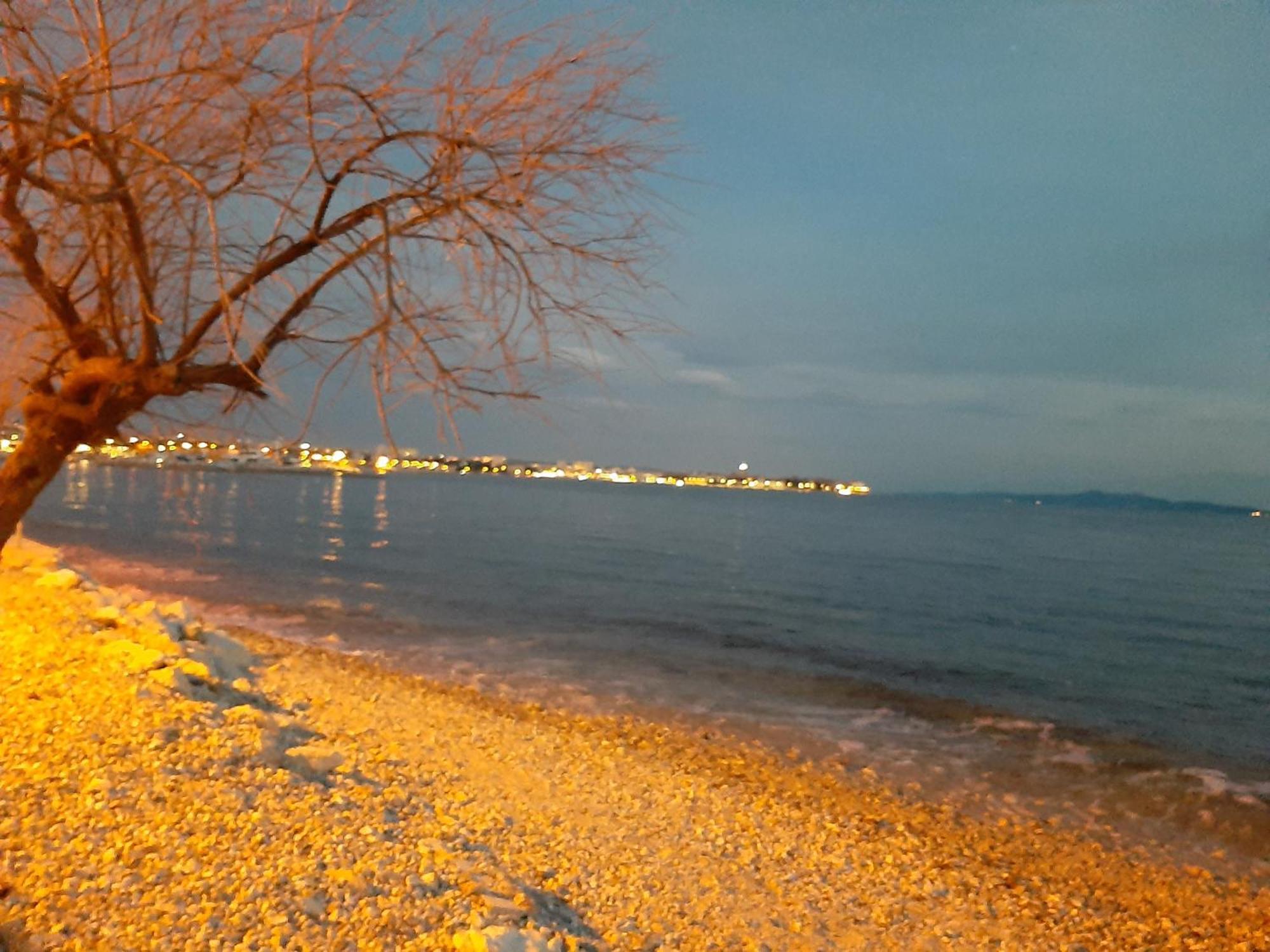 Villa Aurelia Zadar Eksteriør bilde